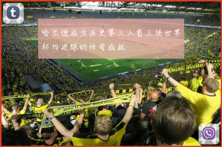 哈兰德成为历史第三人首三场世界杯均进球的传奇成就